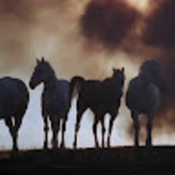 Meet your Posher, Omar - Picture 1 of 1